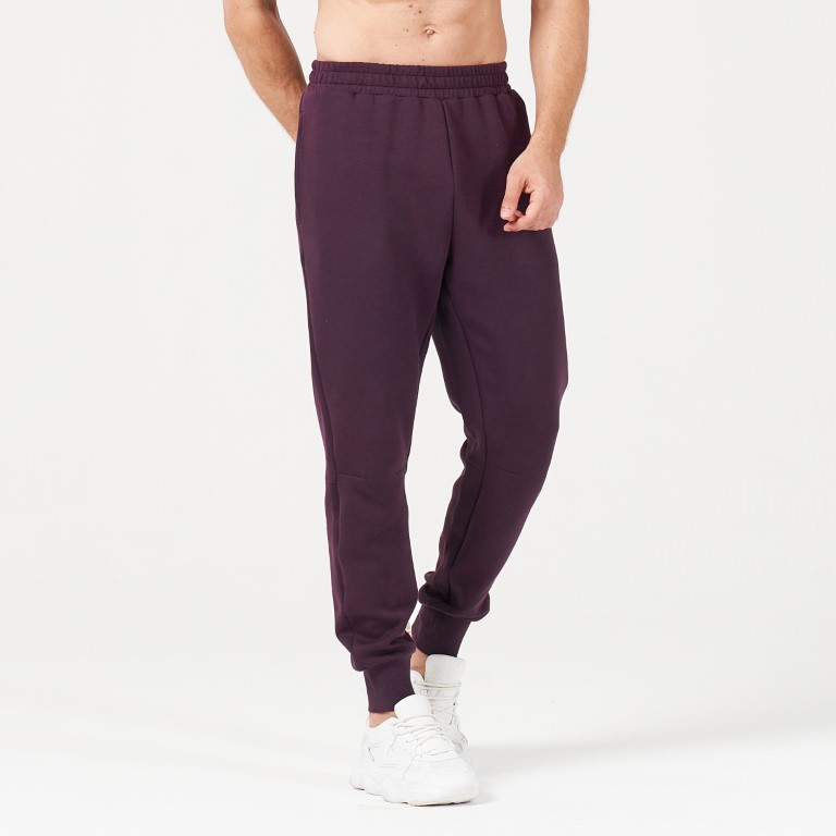 Lab360° DryLite Joggers - Plum Perfect